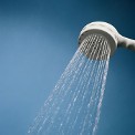  Showerhead - We Carry Hardware, Hand Tools, & Plumbing Supplies